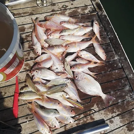 Mali Garden Apartment *