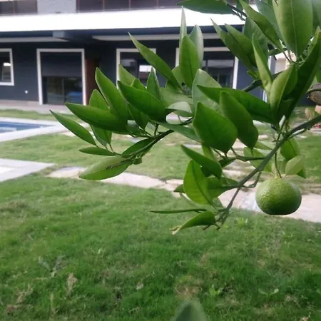 Apartment Mali Garden Side